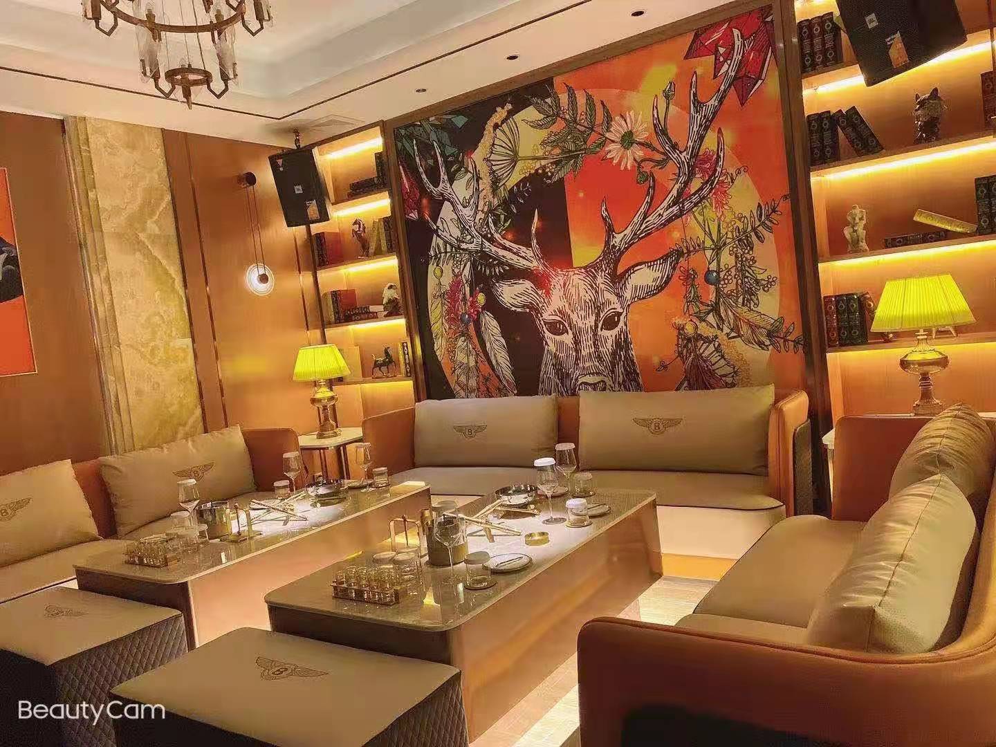 上海阿拉商务KTV高薪诚聘气质佳丽/模特加入，待遇优厚！